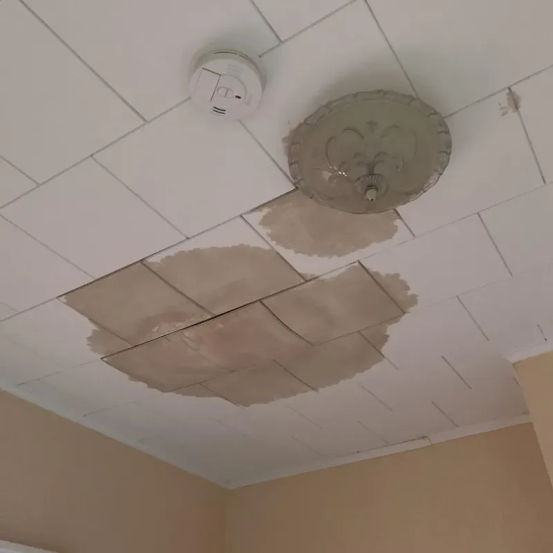 Ceiling Water Damage Repair in Licking County, OH