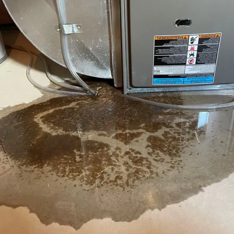 Pipe Burst and Leak Restoration in Licking County, OH