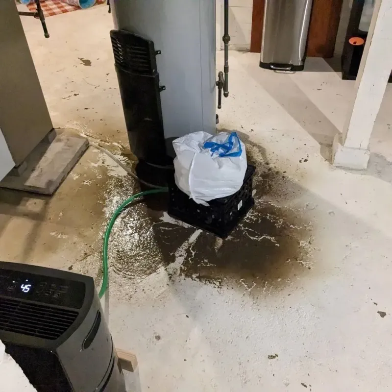 Sewage Backup Cleanup Service in Licking County, OH
